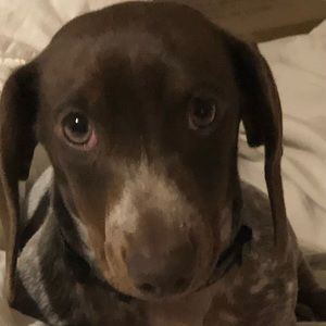 Meet your Posher, Ramona